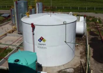 Biocombustibles: el Gobierno fijó un aumento del 6 % para el biodiésel