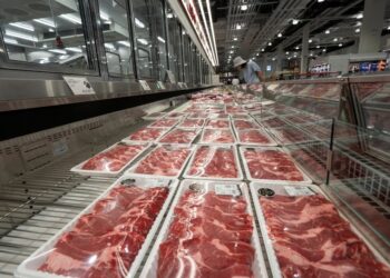 Argentina amplía horizontes: nuevas oportunidades para la carne en Asia