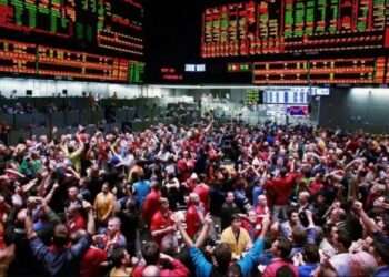 El USDA potenció los precios de la soja y el maíz