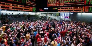 El USDA potenció los precios de la soja y el maíz