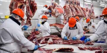 En Argentina sube la faena bovina general pero baja la de hembras