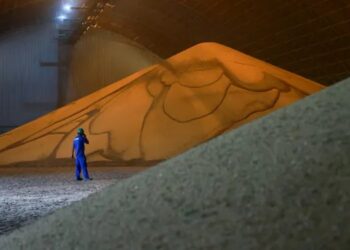 Brasil arrasa con el mercado chino de soja antes de la asunción de Trump
