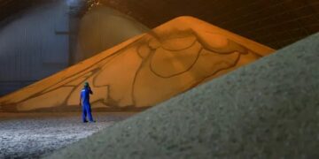 Brasil arrasa con el mercado chino de soja antes de la asunción de Trump