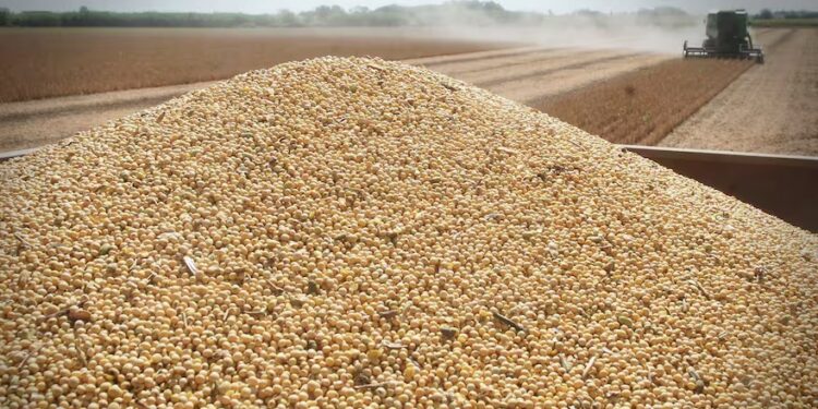 Productores denuncian demoras en las devoluciones de IVA retenido por ARCA