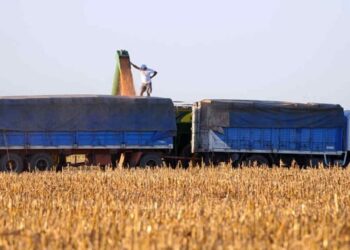 El Gobierno formalizó la baja de retenciones para granos y su eliminación en economías regionales