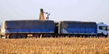 El Gobierno formalizó la baja de retenciones para granos y su eliminación en economías regionales