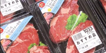 Cuestionan la investigación china sobre las importaciones de carne