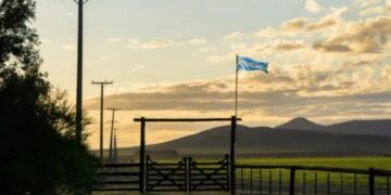 «Las retenciones no deben existir»: las nuevas reacciones del campo ante el anuncio del Gobierno