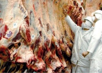 Uruguay habilitado para exportar carne vacuna a Filipinas
