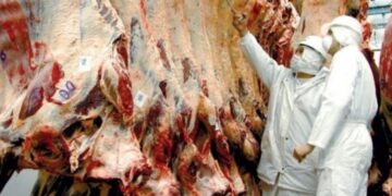 Uruguay habilitado para exportar carne vacuna a Filipinas