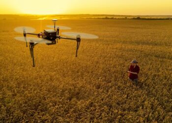 Argentina 2025: litio y agro lideran la recuperación económica