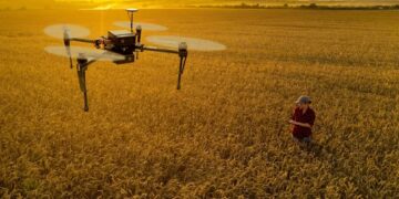 Argentina 2025: litio y agro lideran la recuperación económica