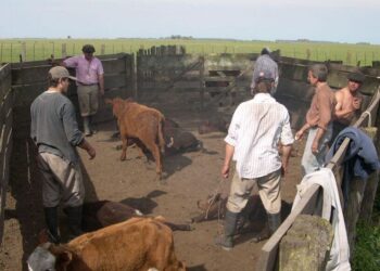 El Renatre lanzó una moratoria para empleadores rurales con deudas