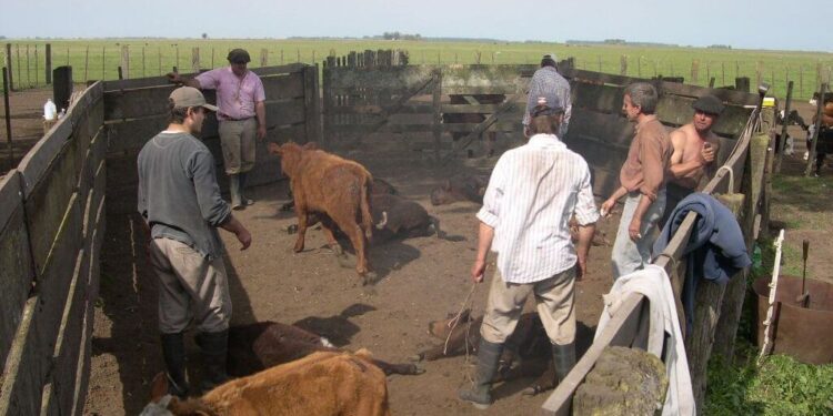 El Renatre lanzó una moratoria para empleadores rurales con deudas