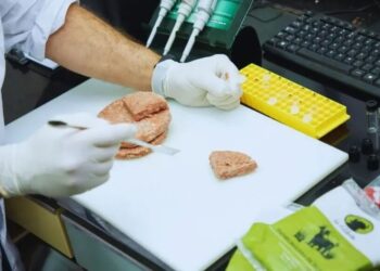 Altos niveles de proteína y bajos de grasa: destacan los beneficios de las hamburguesas de búfalo