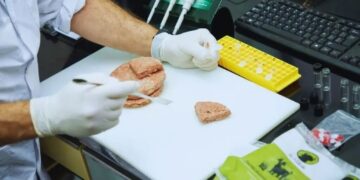 Altos niveles de proteína y bajos de grasa: destacan los beneficios de las hamburguesas de búfalo