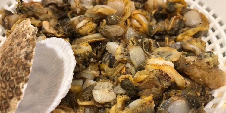 Marea roja: lo que tenés que saber antes de comer mariscos