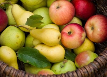 Exportaciones de manzanas en SAE: una caída que contrasta con el auge de las peras
