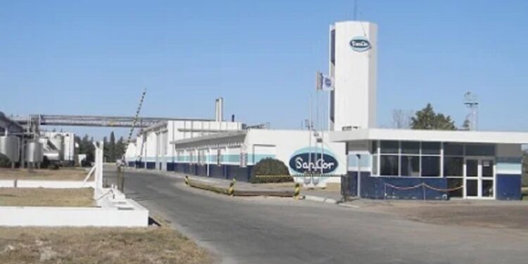 SanCor presentó su concurso preventivo y comenzó a negociar la venta de la planta La Carlota