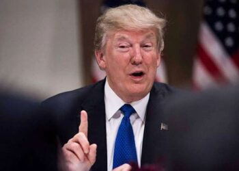 Cómo impactan las medidas de Trump en los precios de la soja, el maíz y el trigo