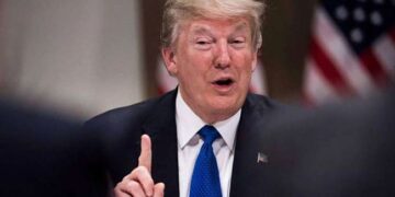 Cómo impactan las medidas de Trump en los precios de la soja, el maíz y el trigo