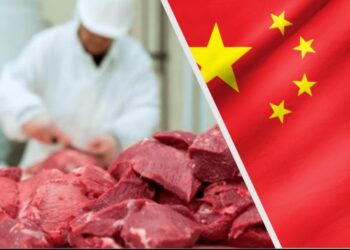 Los exportadores de carne vacuna ven a China como un gran enigma