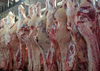 Bolivia suspende las exportaciones de carne para proteger el abastecimiento interno