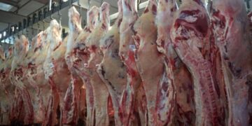 Bolivia suspende las exportaciones de carne para proteger el abastecimiento interno
