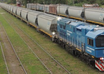 El Gobierno decretó la privatización total del Belgrano Cargas