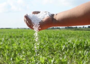 Aumentó 7% el uso de fertilizantes en 2024