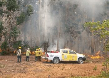Incendios: el Gobierno anunció un proyecto para agravar las penas a quienes los provoquen
