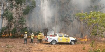 Incendios: el Gobierno anunció un proyecto para agravar las penas a quienes los provoquen