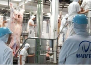 Minerva reactiva en Uruguay la compra de plantas de Marfrig