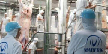 Minerva reactiva en Uruguay la compra de plantas de Marfrig