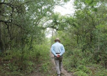 Arrancó un proyecto de reforestación en el Gran Chaco