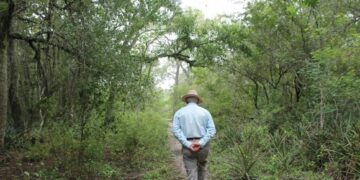 Arrancó un proyecto de reforestación en el Gran Chaco