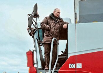 Rusia, otro ejemplo del daño de las retenciones: productores abandonan el trigo y pierde el liderazgo mundial