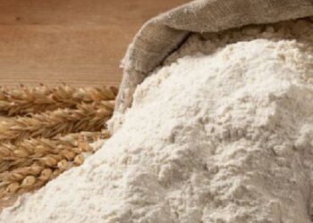 Denuncian una alta informalidad en la cadena productiva de trigo y farináceos