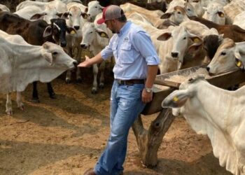 Ganaderos bolivianos miran a la Argentina en plena crisis ganadera por suspensión de exportaciones
