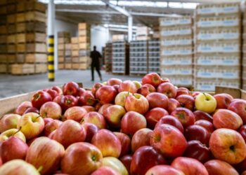 La revolución frutícola: nueva normativa para un sector clave
