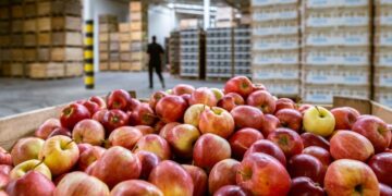 La revolución frutícola: nueva normativa para un sector clave