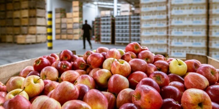 La revolución frutícola: nueva normativa para un sector clave