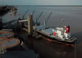 Radiografía de las exportaciones agroindustriales y su sorprendente superávit: U$S 39.000 millones