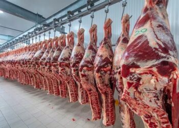 En Argentina las exportaciones de carne vacuna cayeron un 25% interanual
