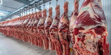 En Argentina las exportaciones de carne vacuna cayeron un 25% interanual