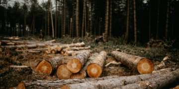 En Argentina gremiales agroindustriales plantearon al Gobierno el rechazo a reglamento de deforestación de UE
