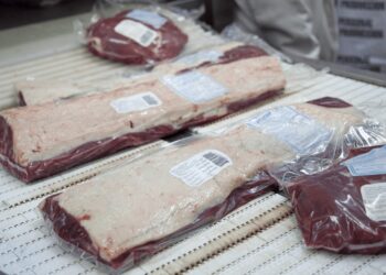 Cambio de tendencia: las exportaciones de carne ahora mejoran en precio, pero caen en volumen