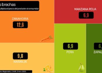 El precio de los agroalimentos se multiplicó por cuatro en enero