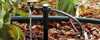 Riego eficiente para el agro argentino