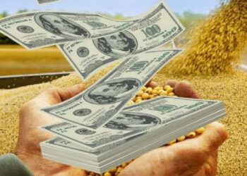 ¿Se acerca el fin de las retenciones? El debate que marcará el futuro del agro